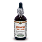 Stinging Nettle