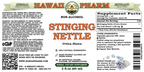 Stinging Nettle